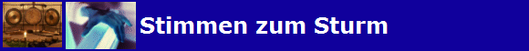 Stimmen zum Sturm